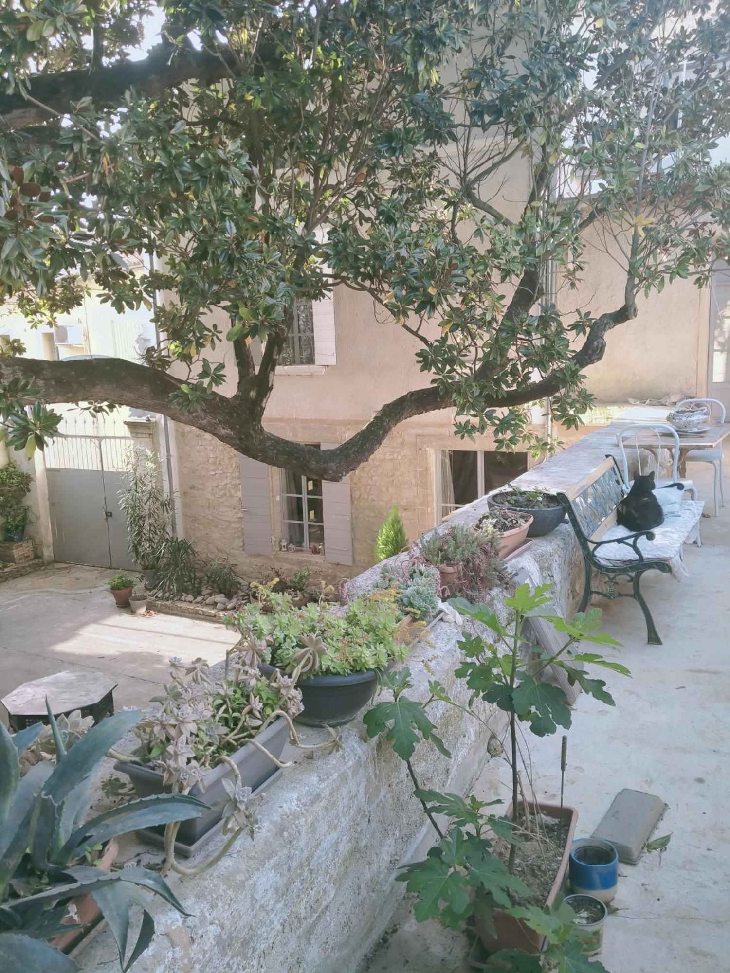 D'hotes L'atrium * Orange (Vaucluse)